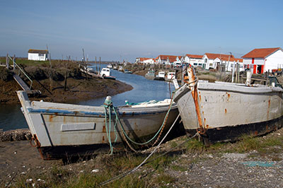 barque