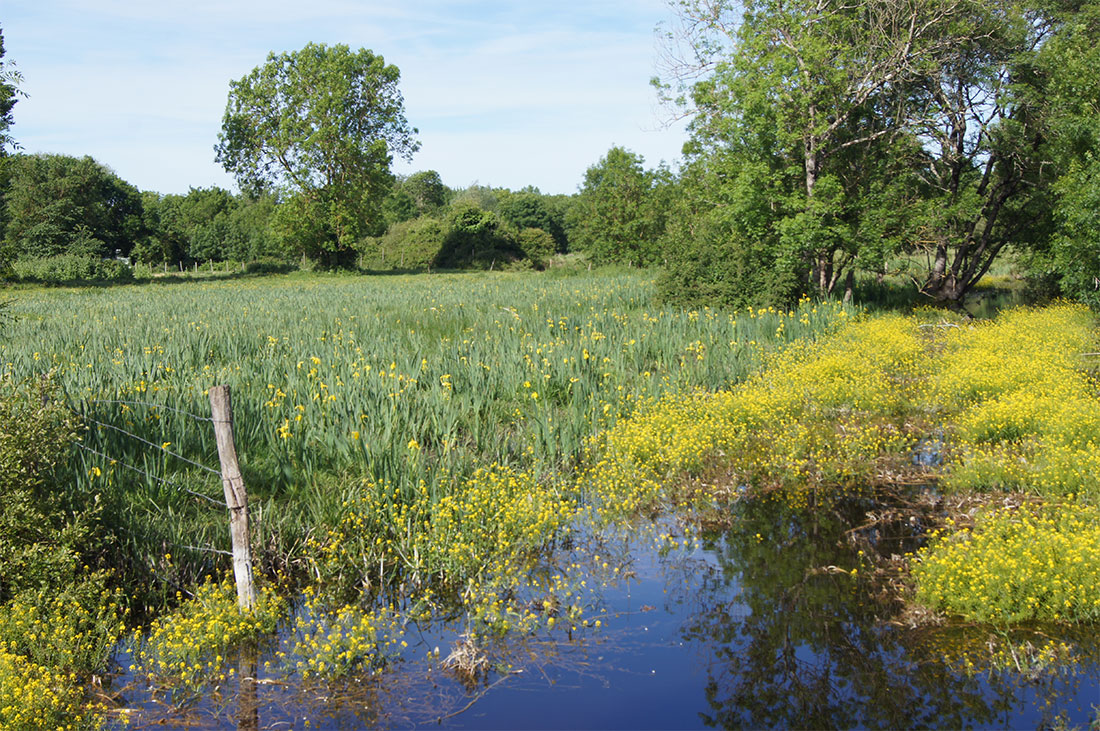 marais doux 1