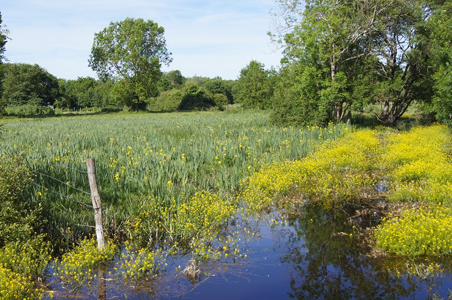 marais-doux-1