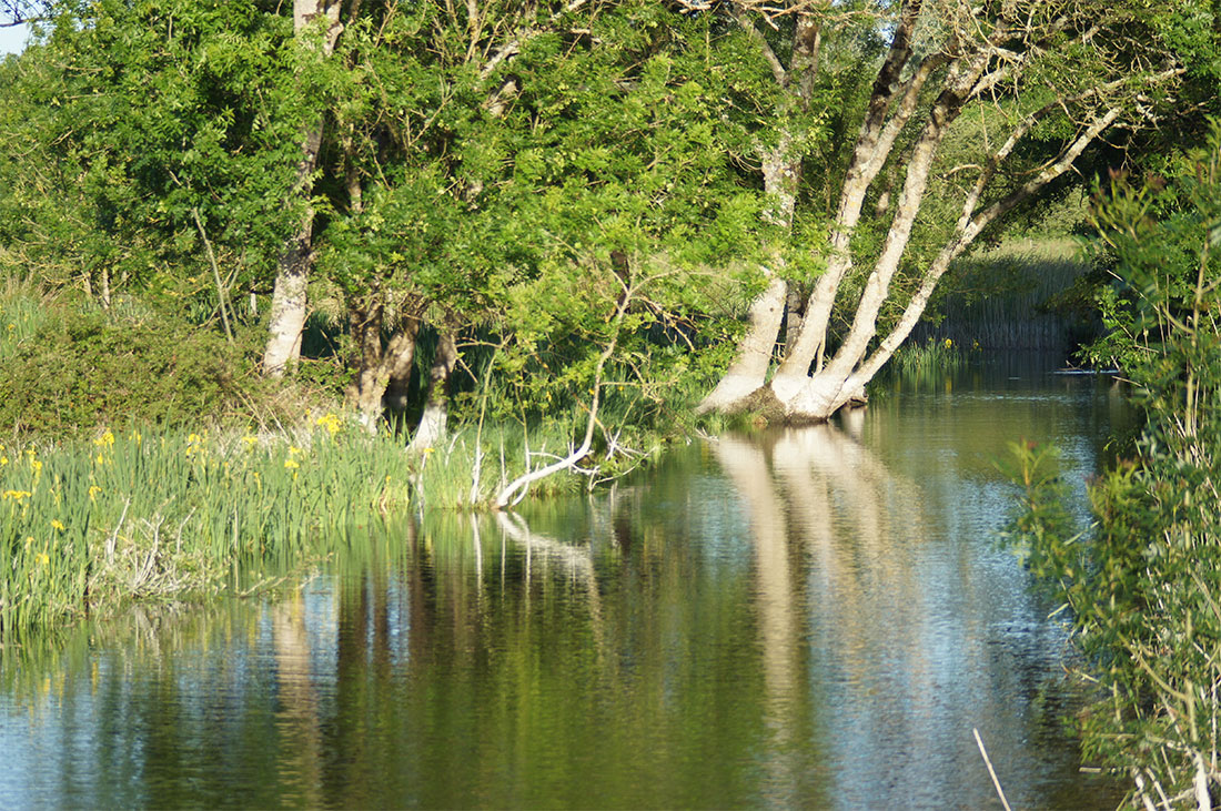 marais doux 2